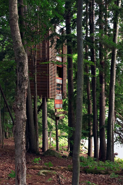 Some Epic Tree Houses