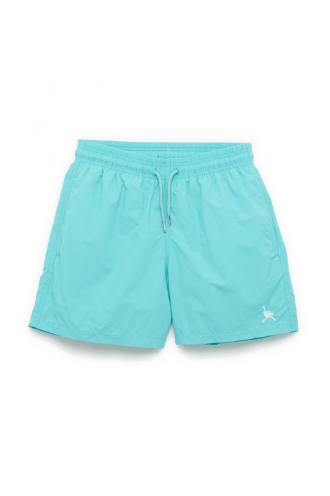 Swimming Trunks in Teal